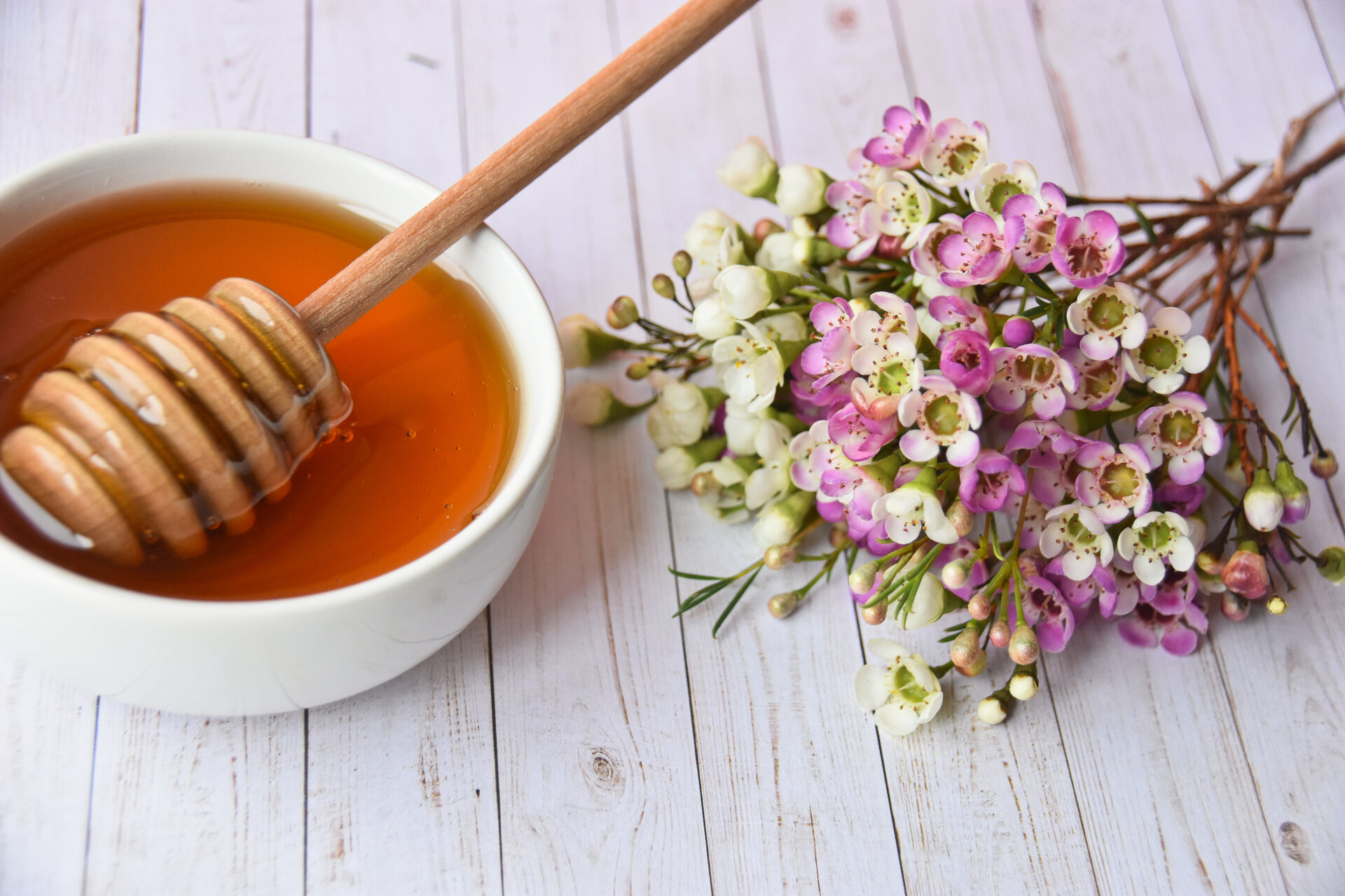 Honig und eine Manuka Blume